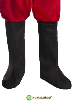 COPRISTIVALE DI BABBO NATALE